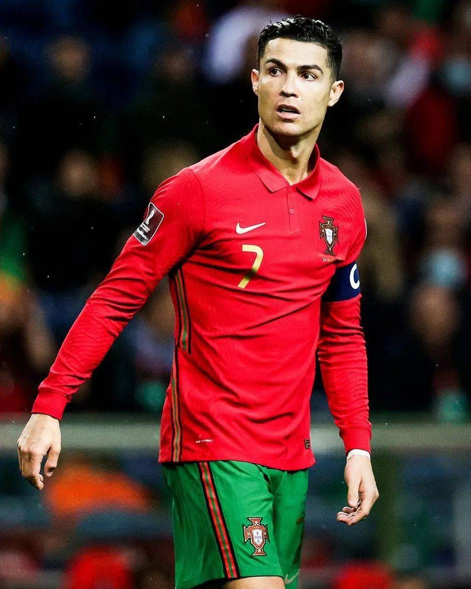 职业生涯的 职业生涯的