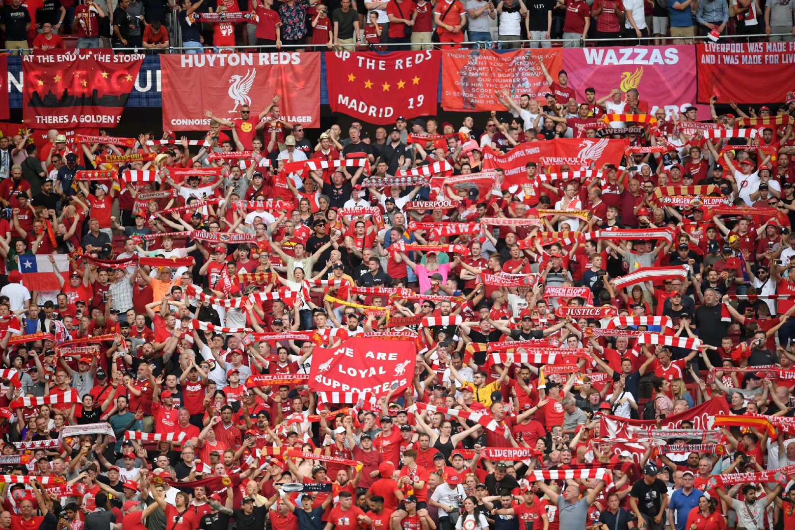 单一布阵 单一布阵